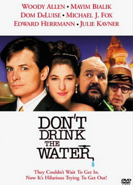Don't Drink the Water (1994) - Most Similar Movies to Pussycat, Pussycat, I Love You (1970)